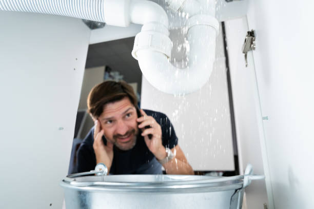 Best Affordable Plumber Near Me  in Rushford, MN