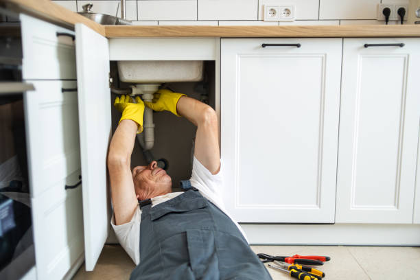 Best Clogged Drain Plumber  in Rushford, MN