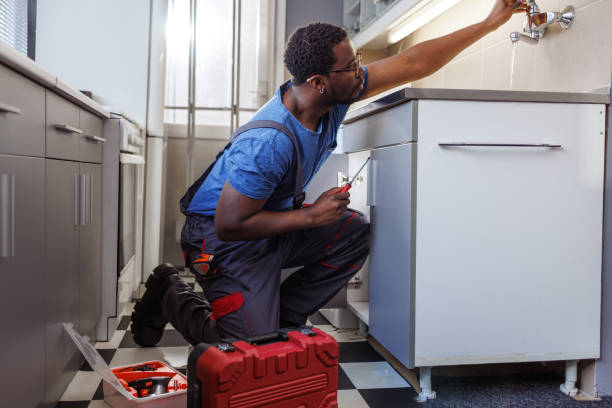 Best Same-Day Plumbing Service  in Rushford, MN